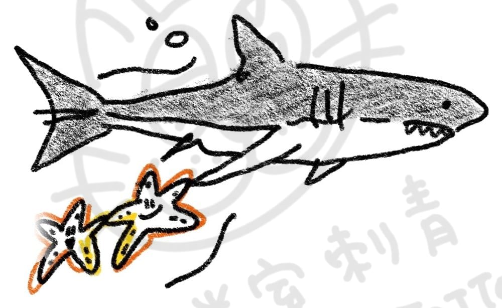 海底動物系列插畫