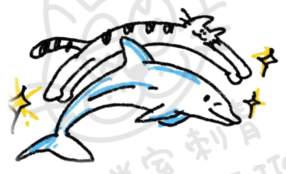 海底動物系列插畫