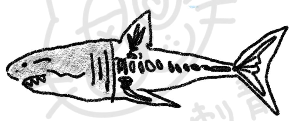 海底動物系列插畫