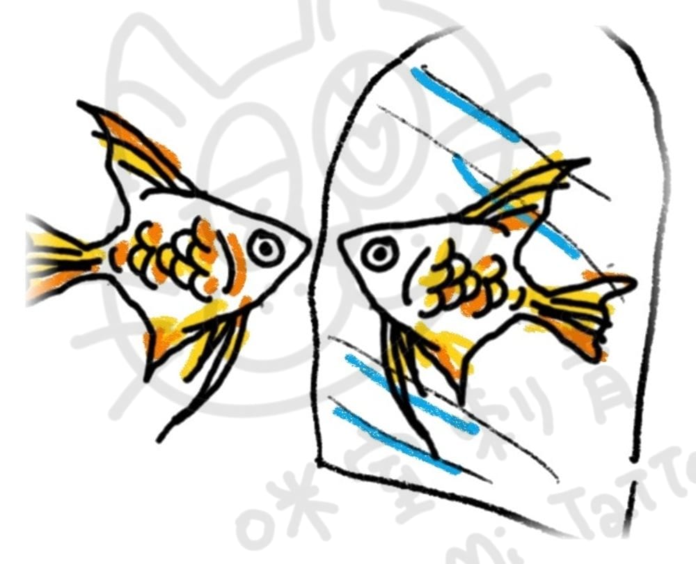 海底動物系列插畫